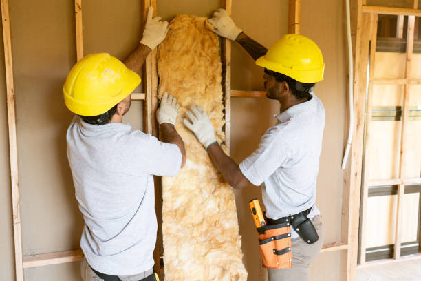 Best Insulation for Commercial Buildings  in Elgin, OK